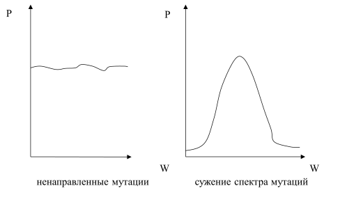 Спектры ненаправленных и направленных мутаций