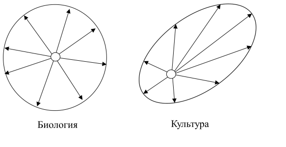 Широкий и узкий спектры мутаций